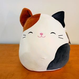 Squishmallow Cameron Cat 16"